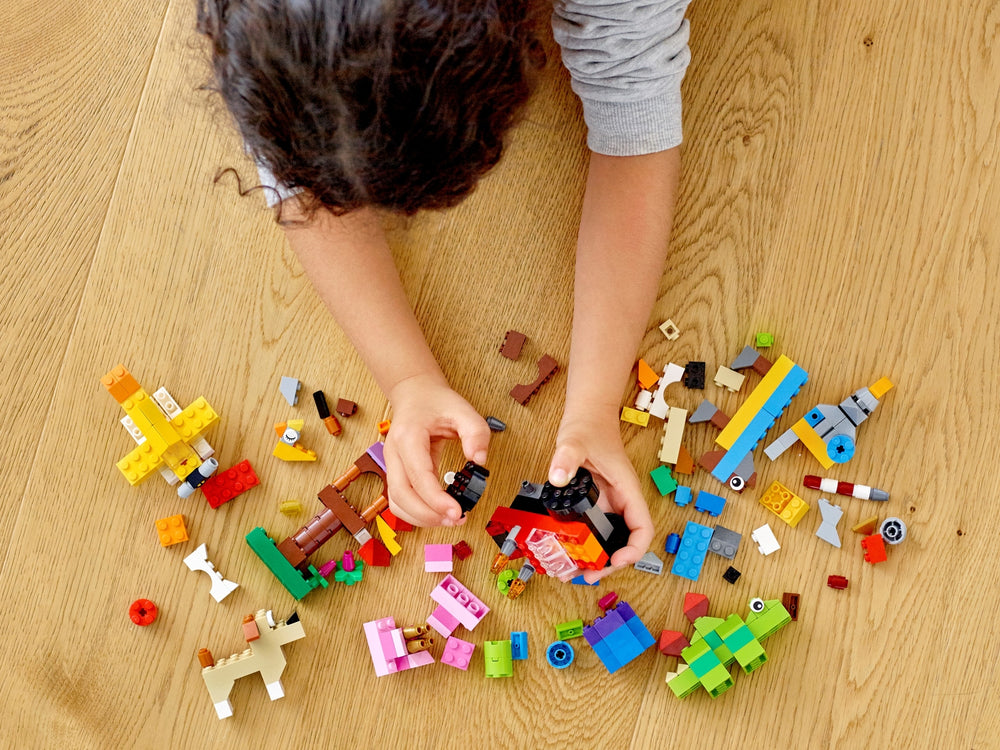 LEGO® Classic: Basic Brick Set