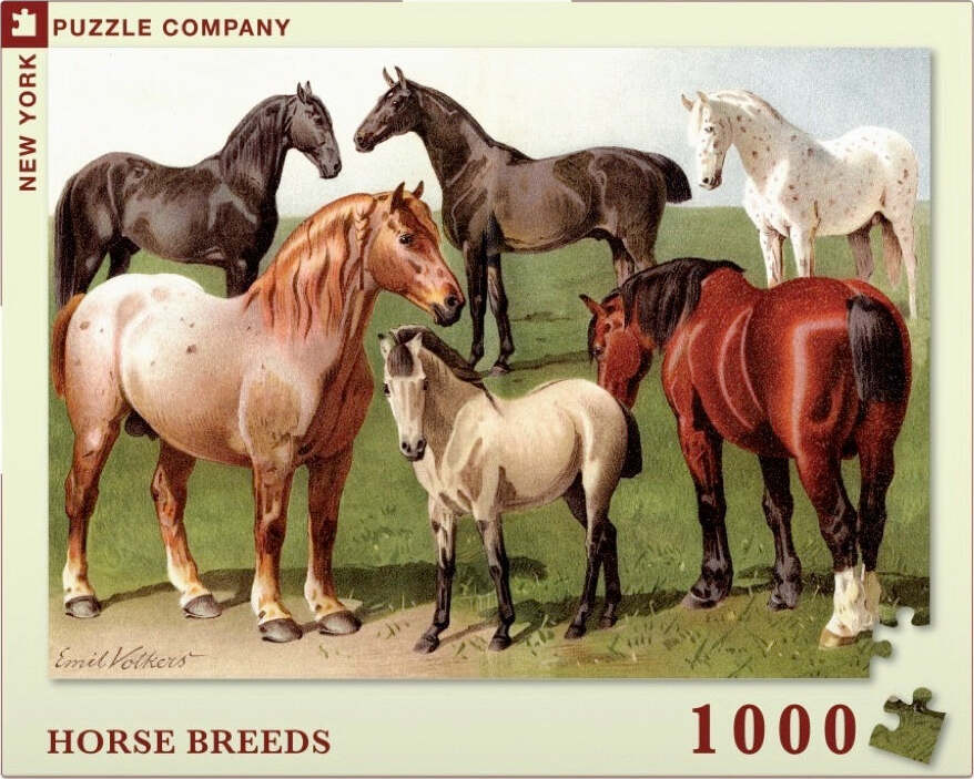 Horse Breeds Puzzle (1000 Pc)