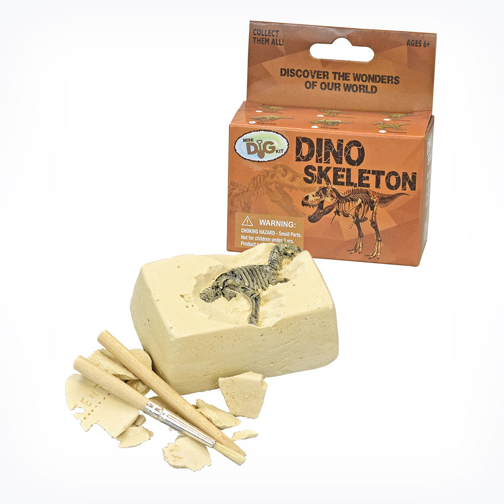 Dino Skeleton Mini Excavation Kits