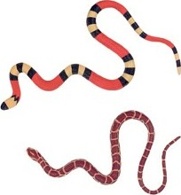 Club Earth Mega Stretch Snake  (assorted)