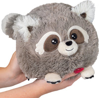 Mini Squishable Baby Raccoon (7")